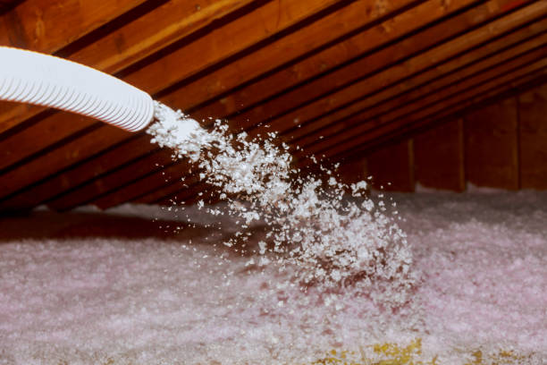 Types of Insulation We Offer in Jourdanton, TX