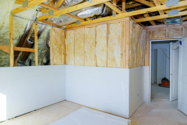 Best Spray Foam Insulation in Jourdanton, TX