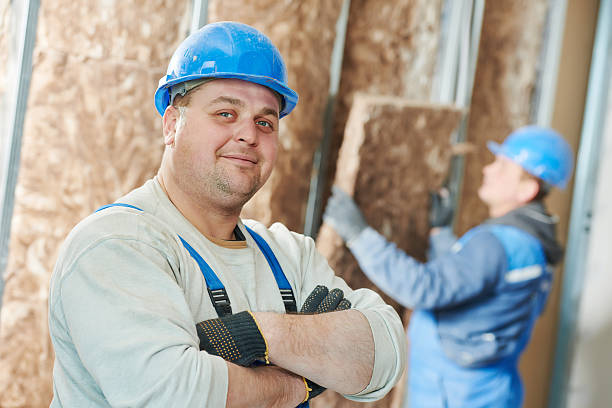 Best Insulation Maintenance and Repair in Jourdanton, TX