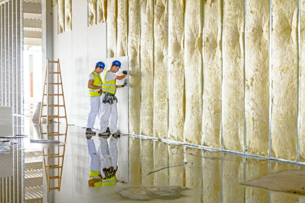 Types of Insulation We Offer in Jourdanton, TX